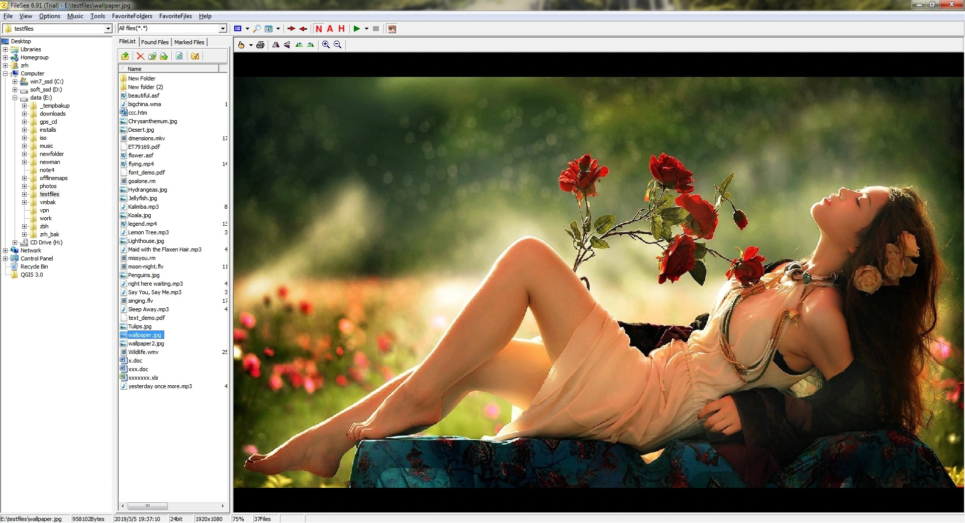 Okladka FileSee