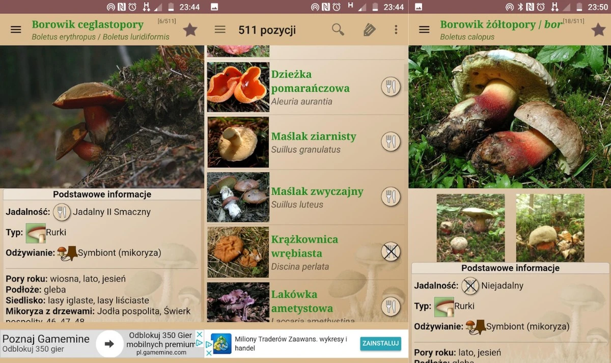 Aplikacja Atlas Grzybów