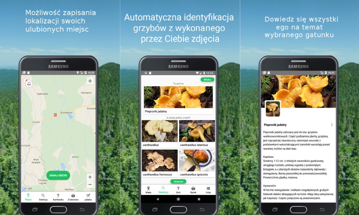 Aplikacja Mushroom Identify