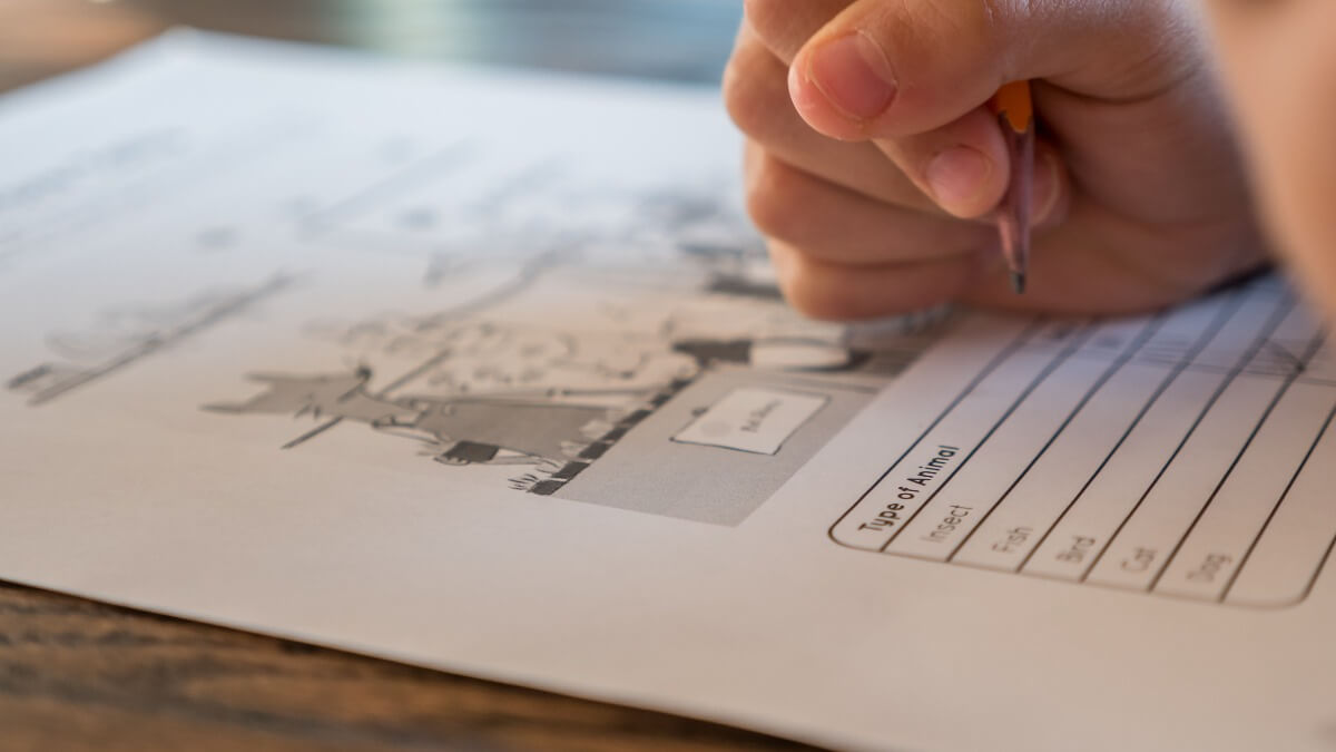 chatgpt egzamin studia 1