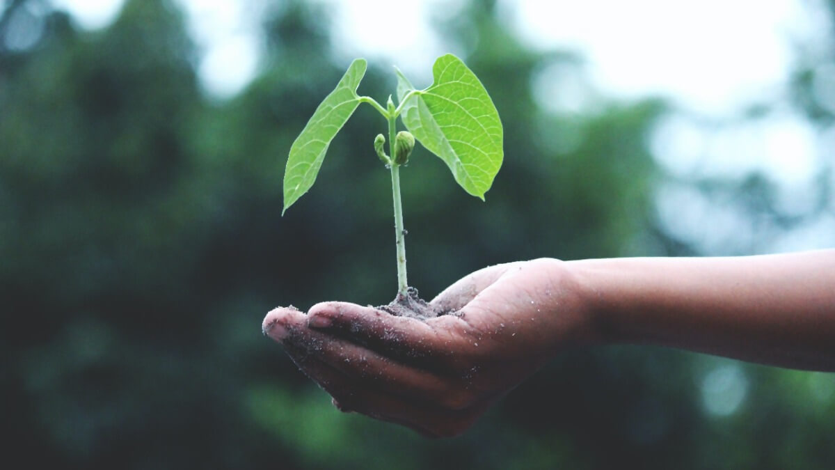 greenwashing koniec ue 1