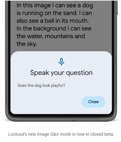 google chrome literowki miniatura 1