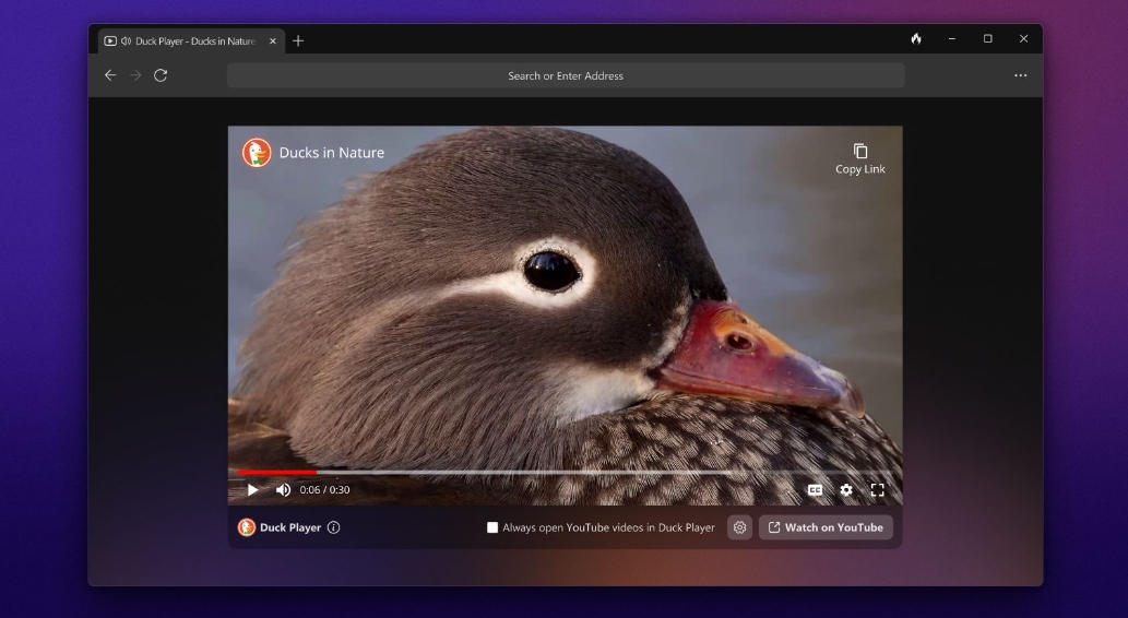 duckduckgo windows 2
