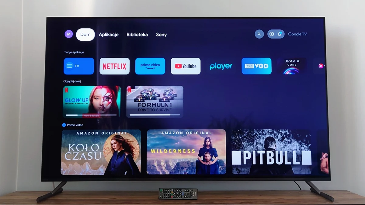 Sony OLED BRAVIA XR 55” A80L