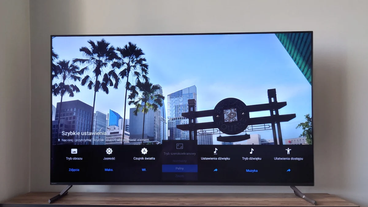 Sony OLED BRAVIA XR 55” A80L