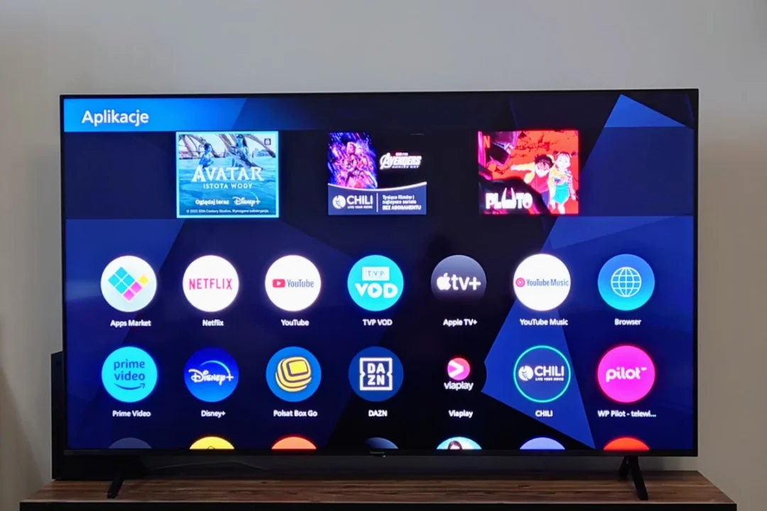Panasonic MX950E