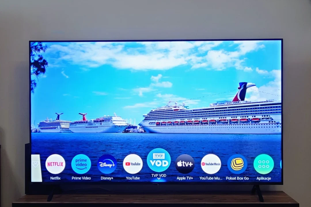 Panasonic MX950E