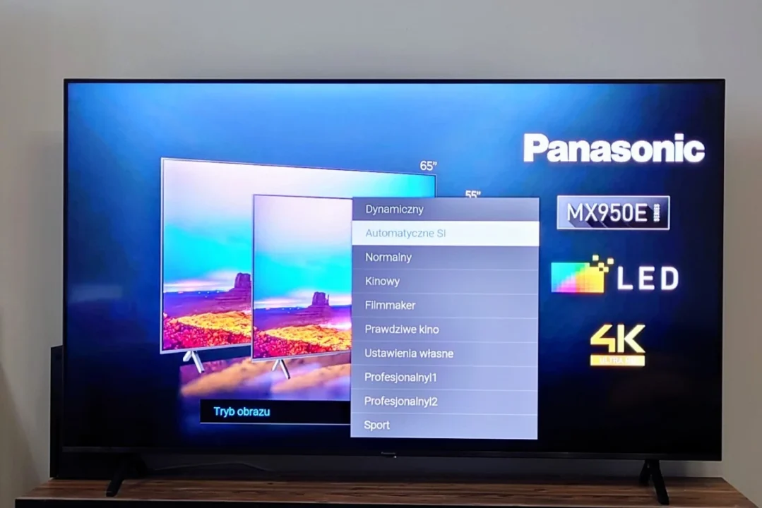 Panasonic MX950E