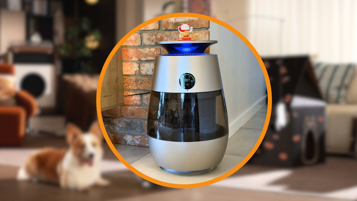 Recenzja Dreame AP10. Oczyszczacz powietrza, który faworyzuje koty