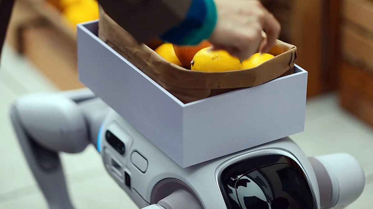 Ten robot zmienia kształt. Raz jest psem, raz chodzi jak człowiek