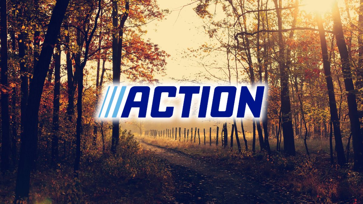 Action odpalił kolejną promocję. Te gadżety przydadzą się jesienią