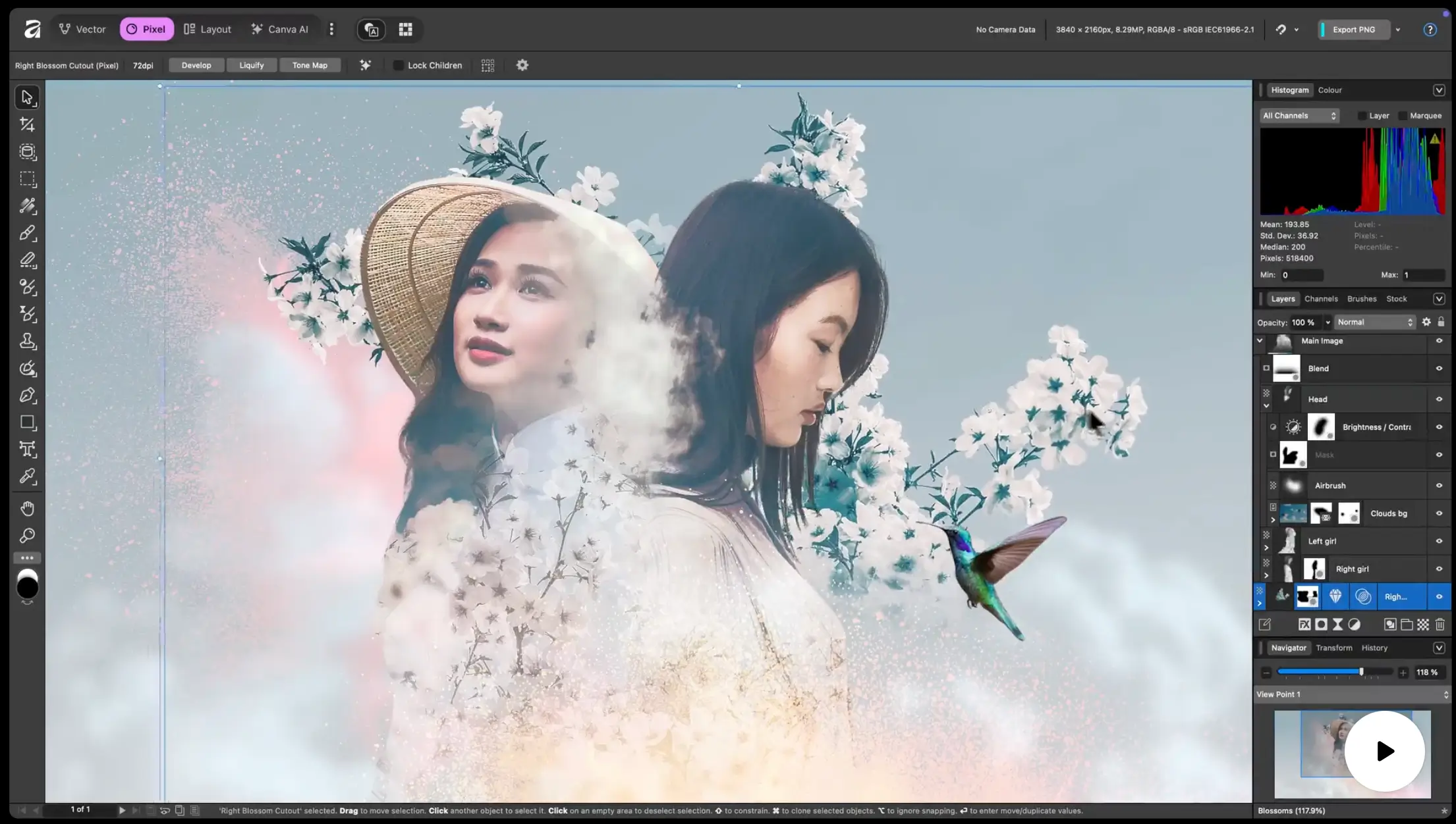 Affinity by Canva