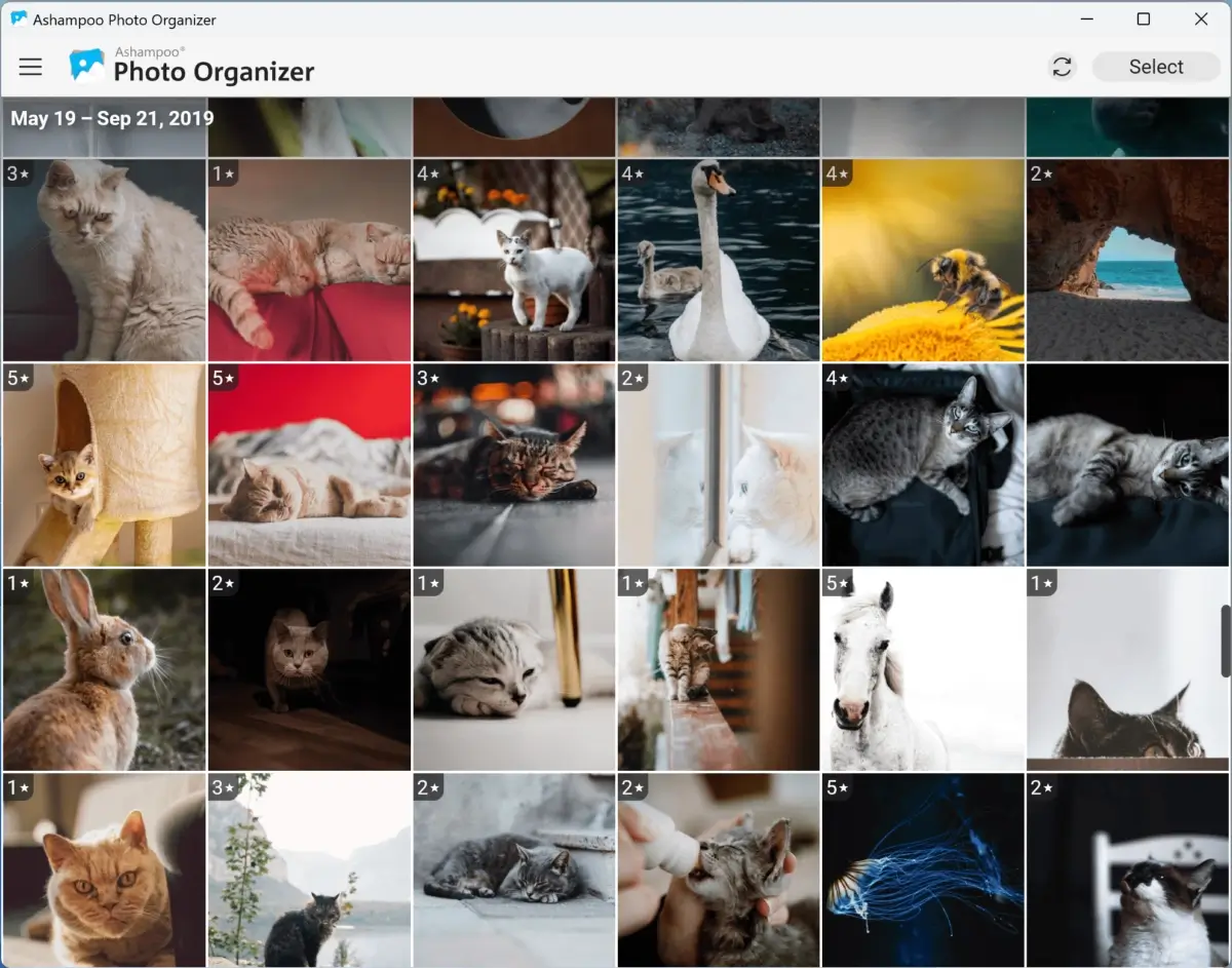 Okladka Ashampoo Photo Organizer⁠