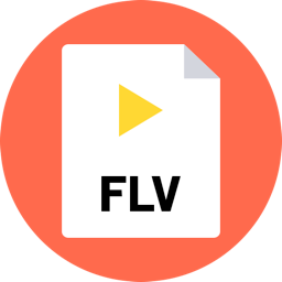 FLV and Media Player