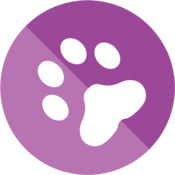 Altova DiffDog Server