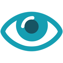 CareUEyes Pro