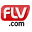 FLV Converter