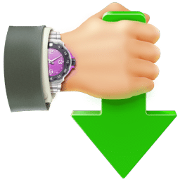 Internet Download Accelerator