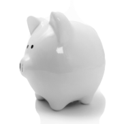 Skarbnik 4 – Twój budżet domowy