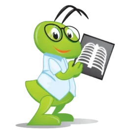 RadiAnt DICOM Viewer