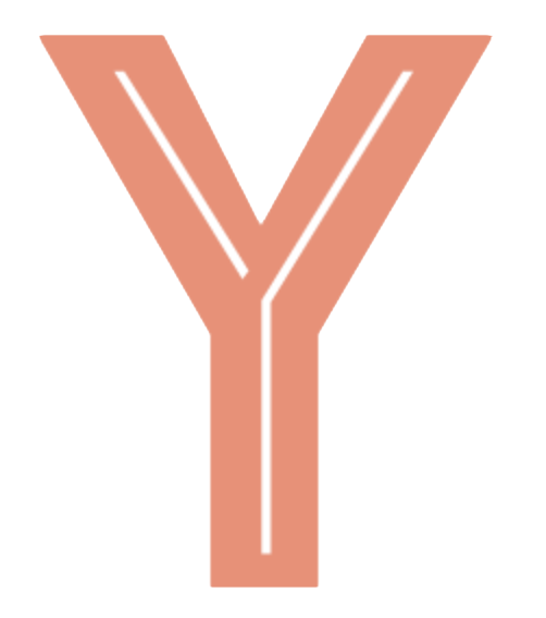 Freemake YouTube to MP3 Boom