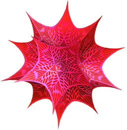 Wolfram Mathematica