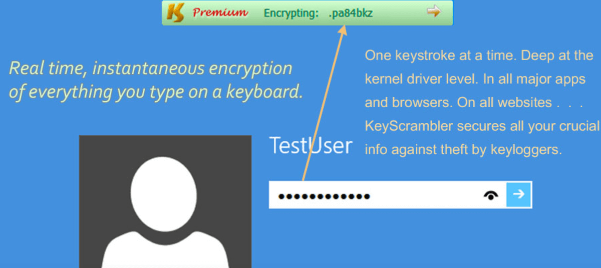 KeyScrambler Professional 3.19 - Windows - download - instalki.pl