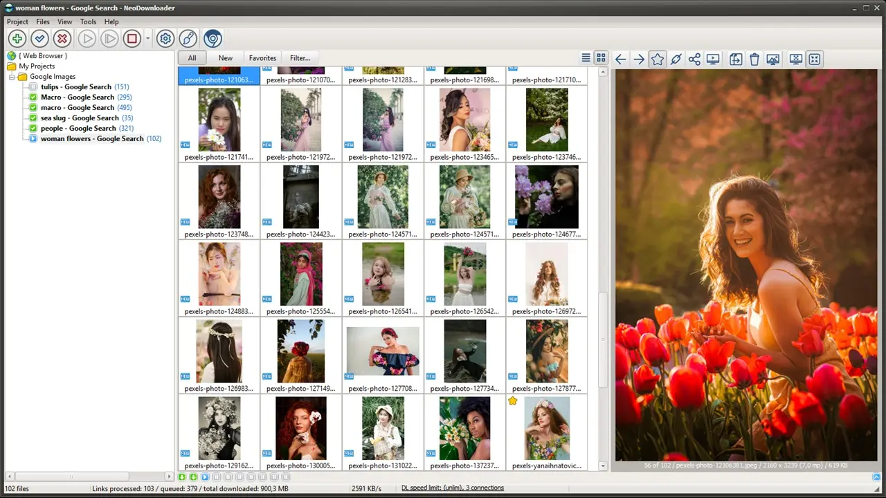 NeoDownloader