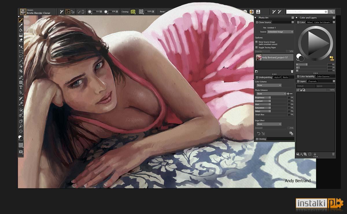 Okladka Corel Painter