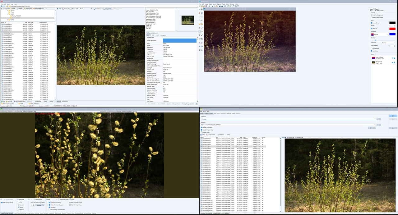 WildBit Viewer