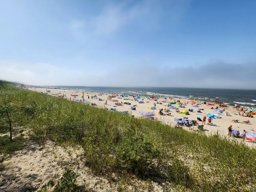 20220826 142519 mini