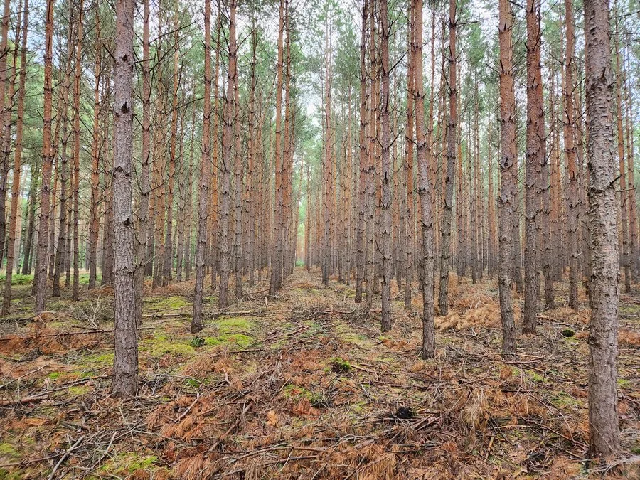 20220911 165902 mini