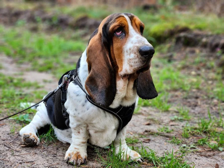 20220911 170937 mini