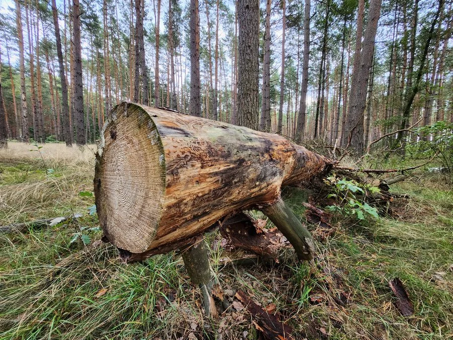 20220911 171334 mini