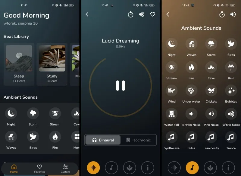 Binaural Beats Brain Waves