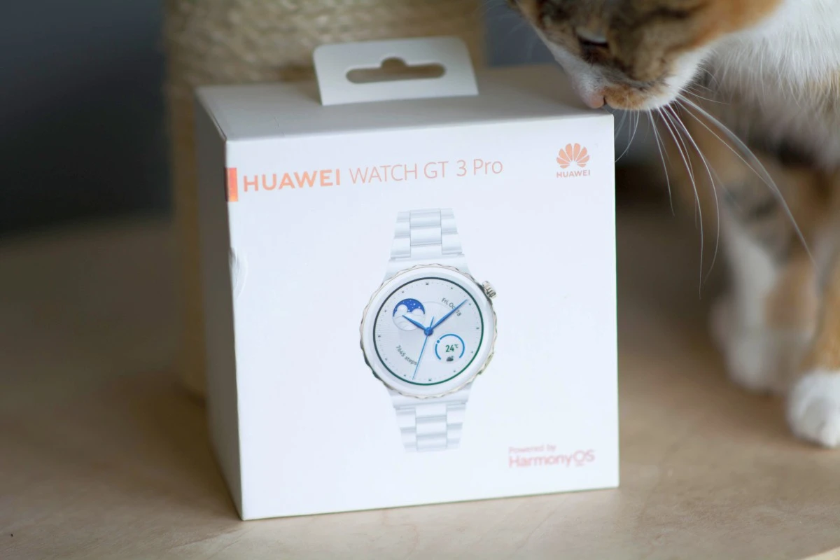 Huawei Watch GT 3 Pro 43 mm 1