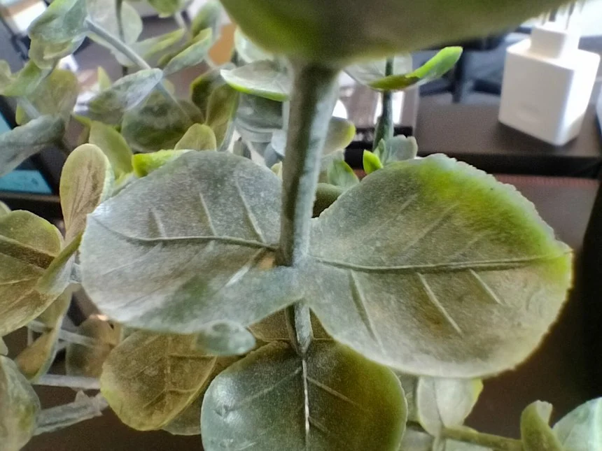 IMG20220511145823 mini