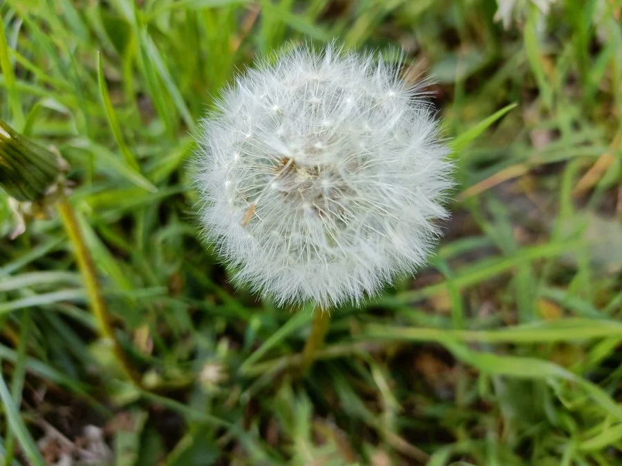 IMG20220518084457 mini