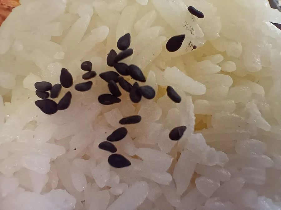 IMG20220518143902 mini