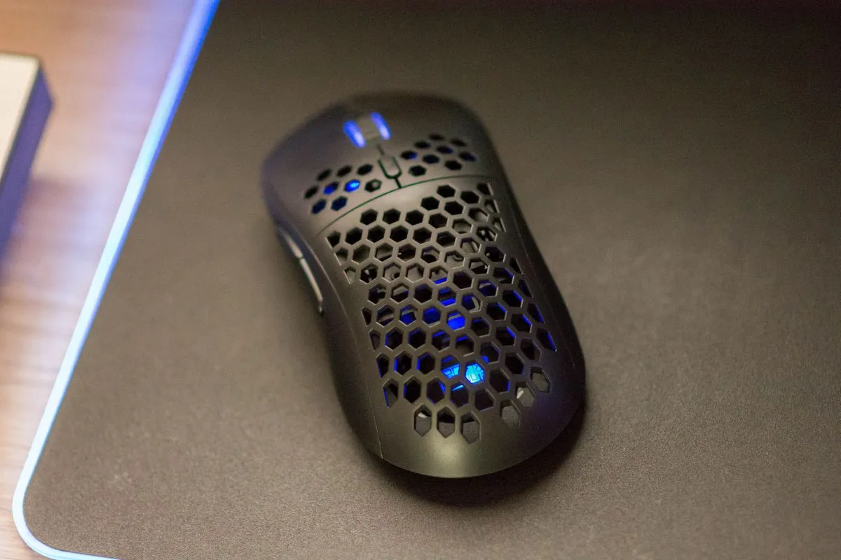 Silver Monkey X Rascal RGB 12