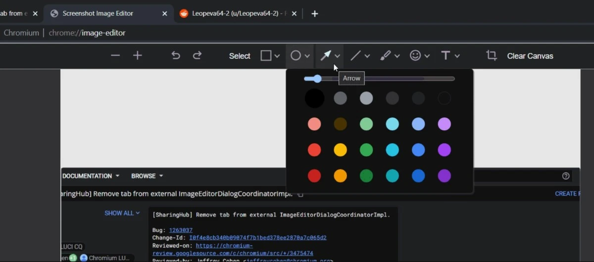 chrome zrzuty ekranu 1