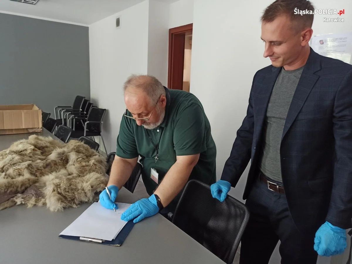 futro z wilka allegro 3