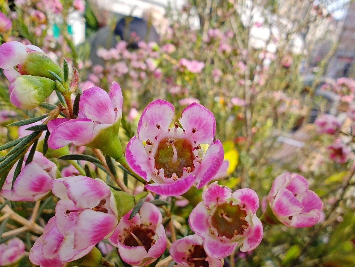 motorola-edge-40-pro-18