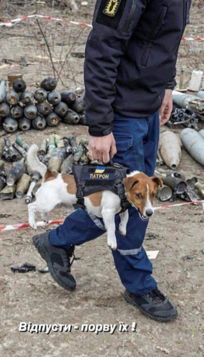 patron miny czernichow