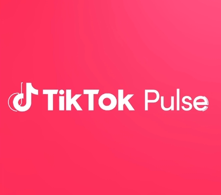 tiktok pulse zarobki 1