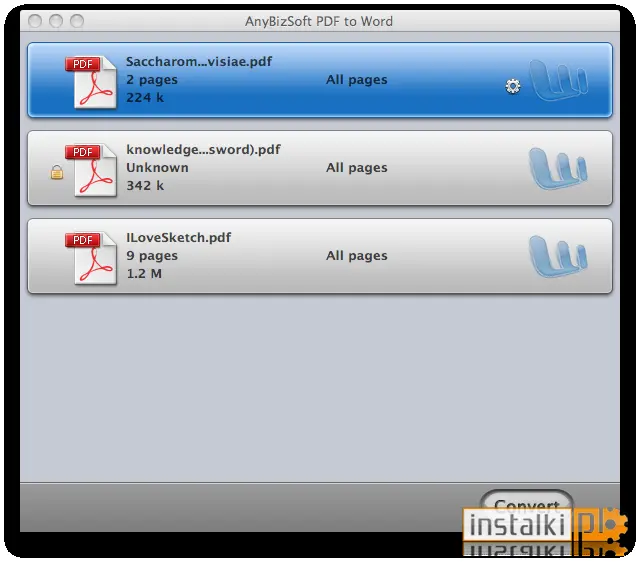 AnyBizSoft PDF to Word for Mac