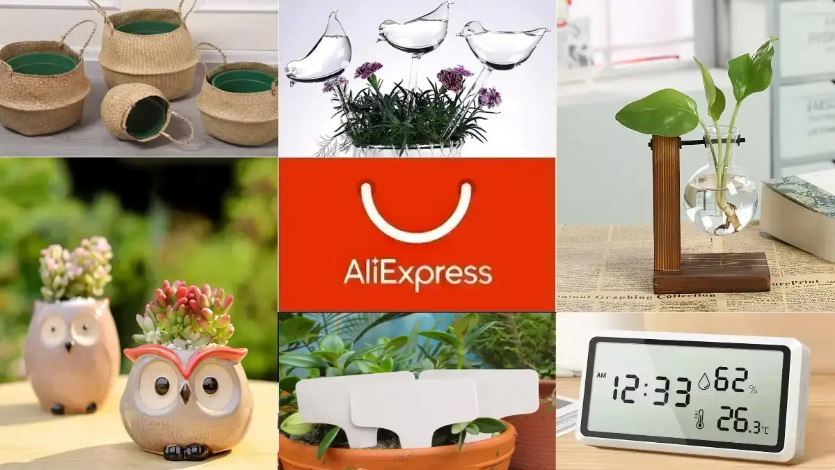 10 tanich gadżetów z AliExpress dla miłośników roślin