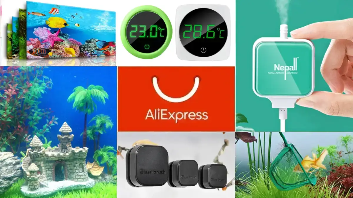 10 tanich gadżetów z AliExpress dla miłośników akwarystyki