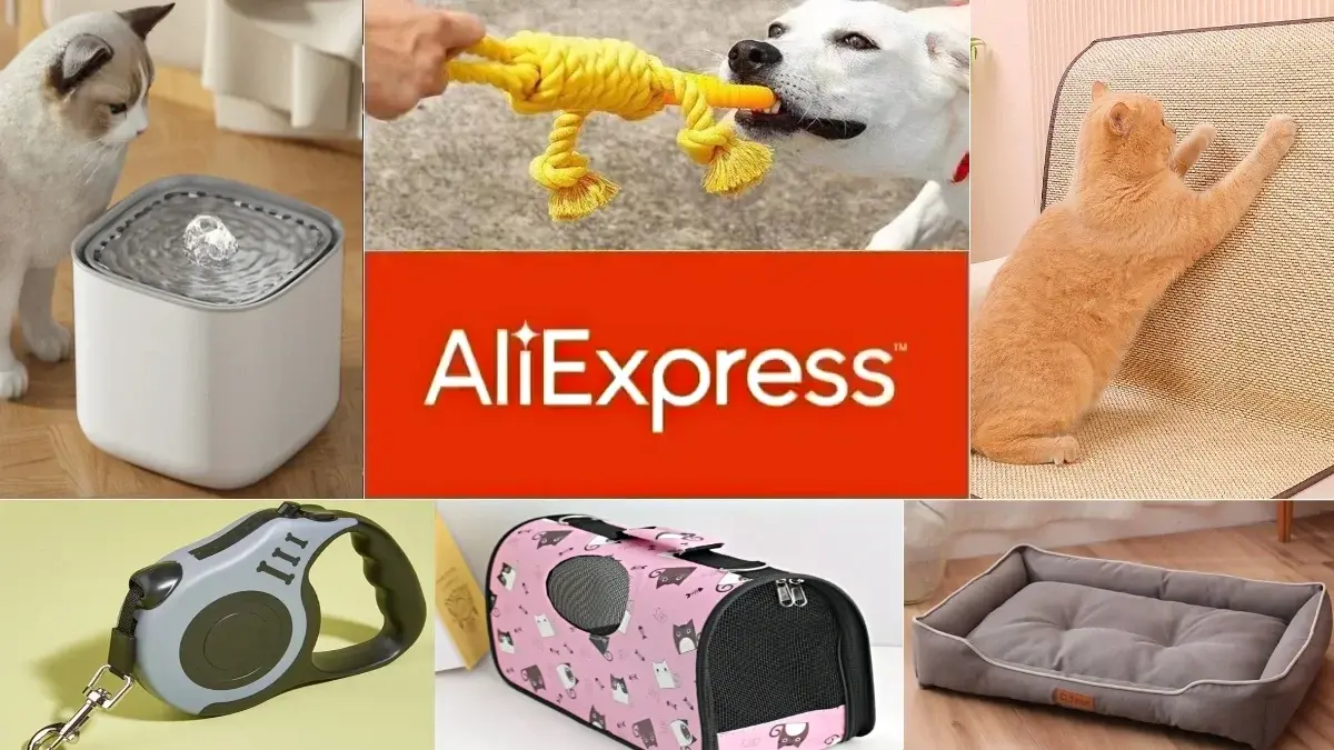 10 tanich gadżetów z AliExpress dla psów i kotów