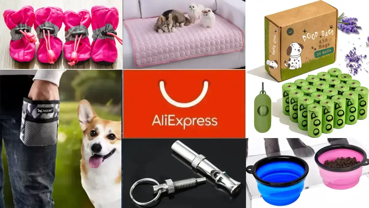 10 tanich gadżetów z AliExpress na spacer z psem